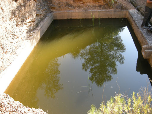 VOLUNTARIADO DEL BUBO LOCALIZA UNA ZONA NUEVA DE TEJÓN