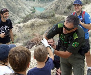 DMAves 2015 Fuente Librilla (2)