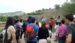 DMAves 2015 Fuente Librilla (5)