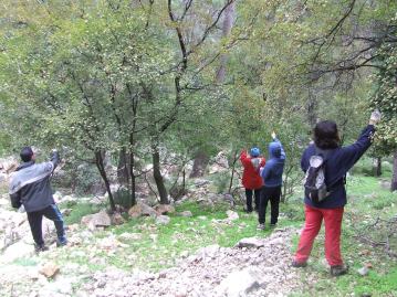 Meles Actividad 25-10-2015_semillas (35)