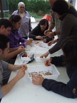 Meles Actividad 25-10-2015_semillas (84)