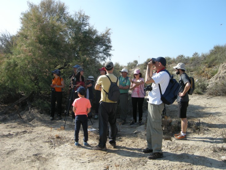 Ruta Saladares y lagunas_21-05-2016