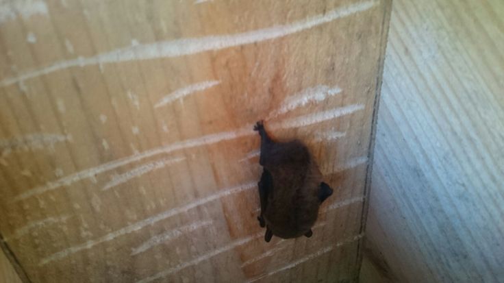 IMG-20180210-WA0001 (2)