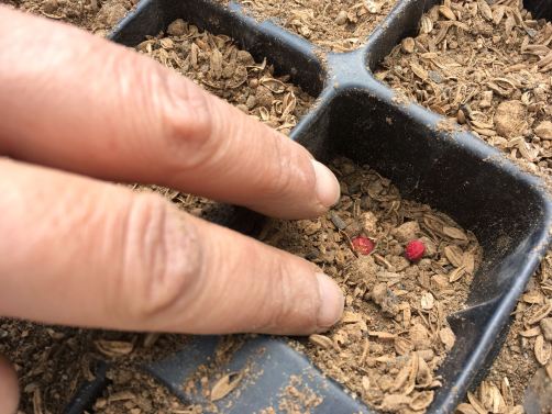 WhatsApp Image 2018-03-10 at 20.37.16