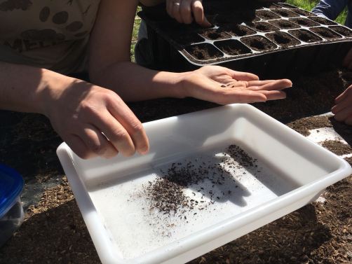 WhatsApp Image 2018-03-10 at 20.37.19