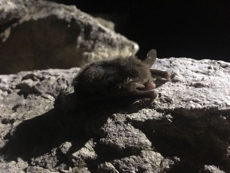 IMG-20180811-WA0011[1]