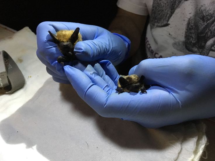 IMG-20180811-WA0013[1]