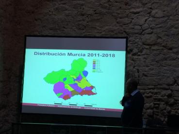 WhatsApp Image 2018-11-06 at 20.56.57